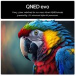 LG 86QNED85A6C 86 Inch QNED evo AI QNED85 HDR 4K Ultra HD Smart TV 2025 - Image 10