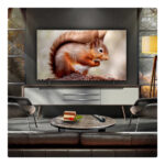 LG OLED65B56LA 65 Inch OLED AI B5 4K HDR Ultra HD Smart TV 2025 - Image 9