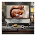 LG OLED83B56LA 83 Inch OLED AI B5 4K Ultra HD HDR Smart TV 2025 - Image 8