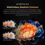 Metz 43MRF6000ZUK 43 Inch MRF6000Z 4K Ultra HD HDR DLED Smart TV with Freely 2025 - Image 4