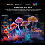 Metz 55MQF7500ZUK 55 Inch MQF7500Z 4K Ultra HD HDR QLED Smart TV 2025 - Image 7